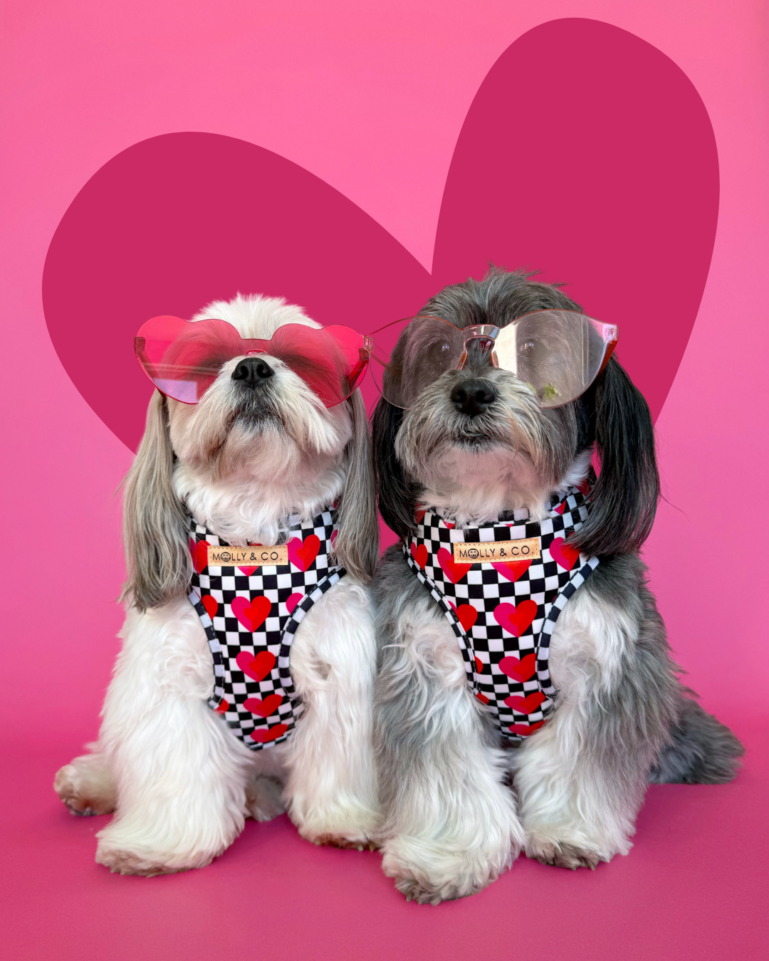 Lovebug - Adjustable Dog Harness