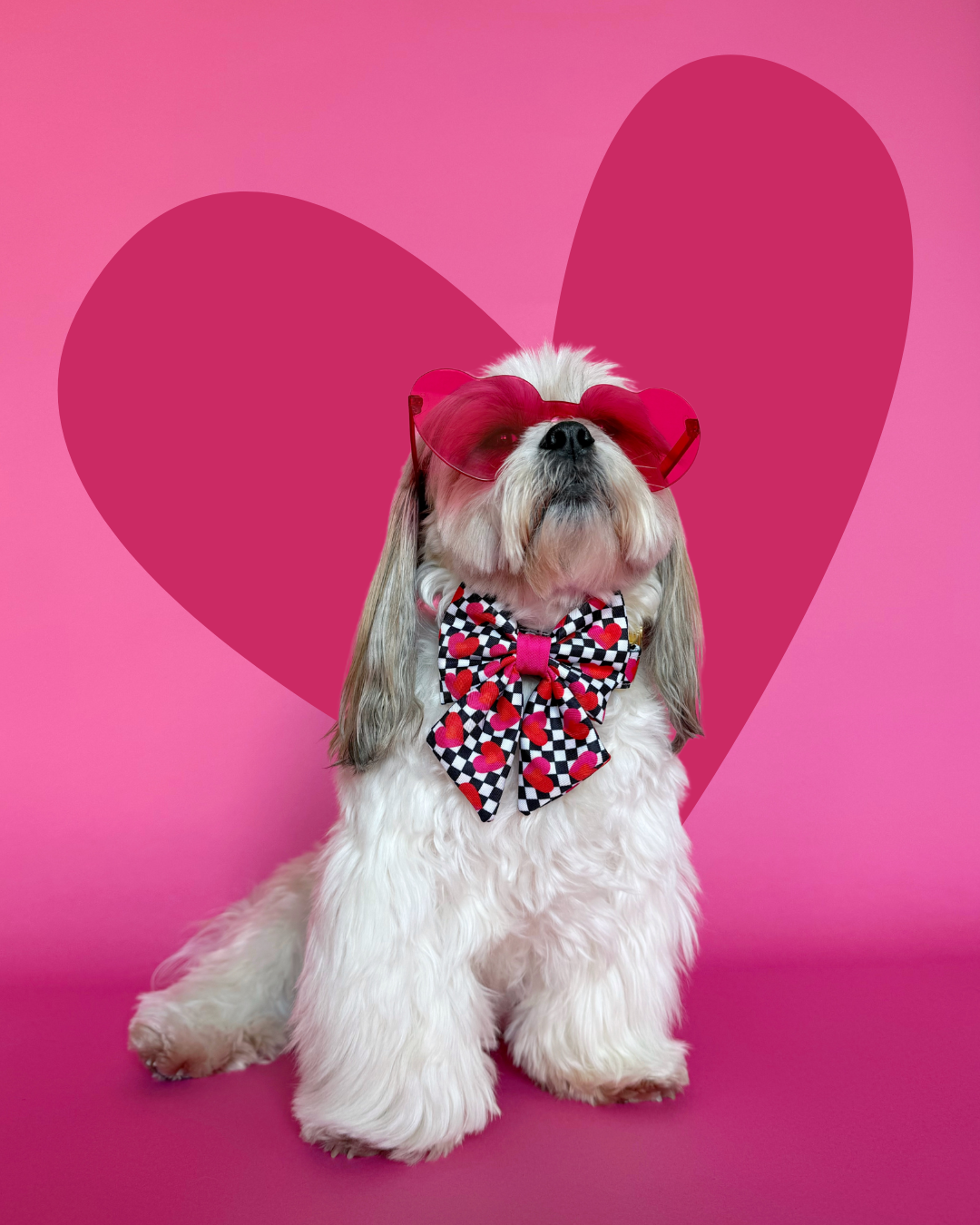 Lovebug - Dog Sailor Bowtie