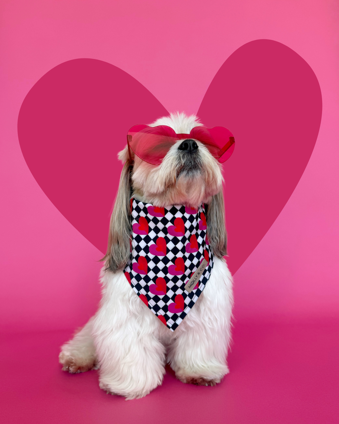 Lovebug - Dog Bandana
