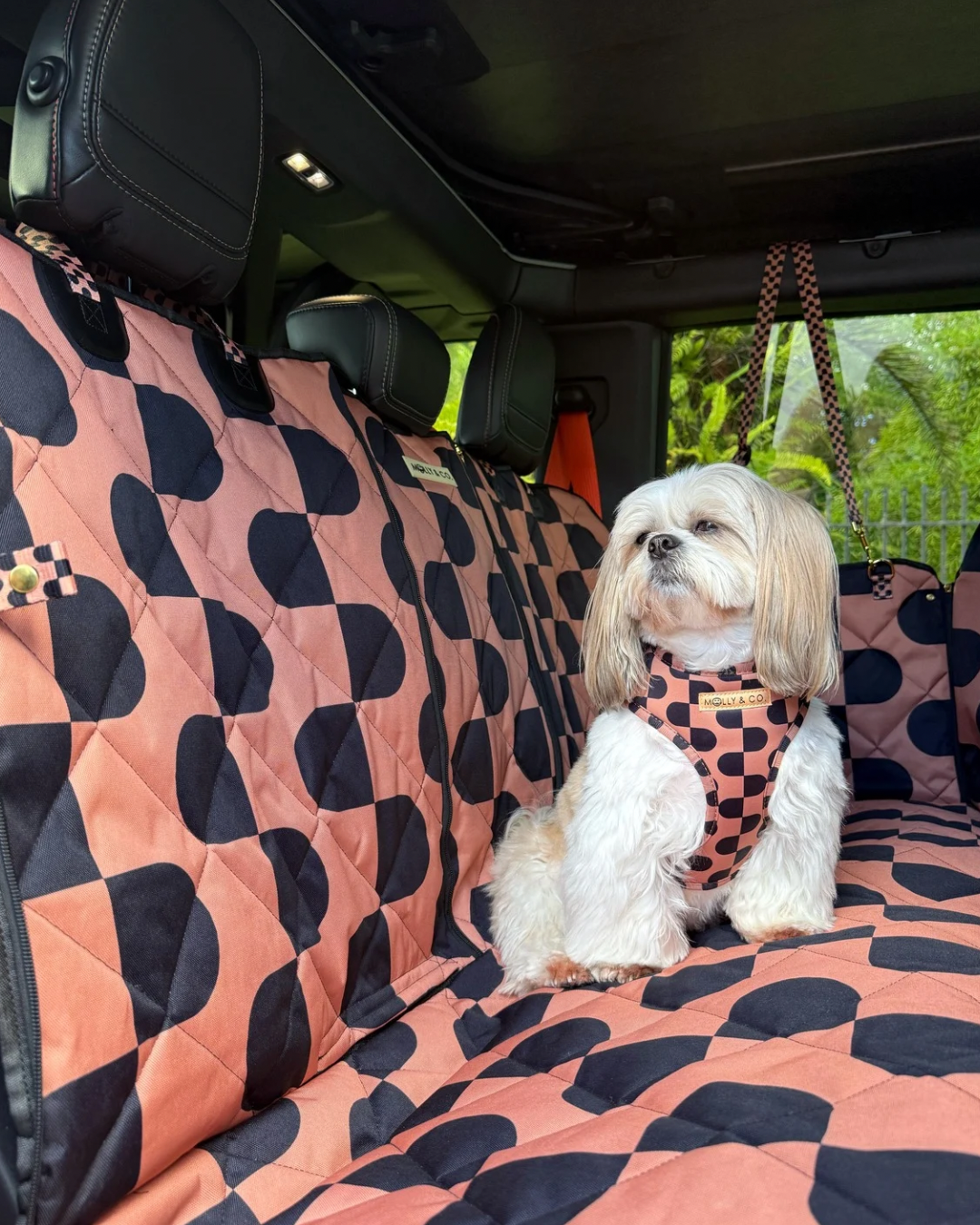 Moonrise - Dog Car Seat Cover