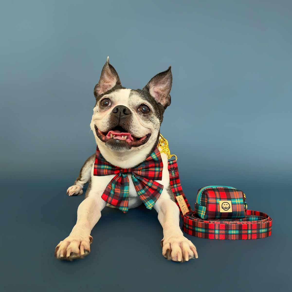 Deluxe Bundle - Merrywood