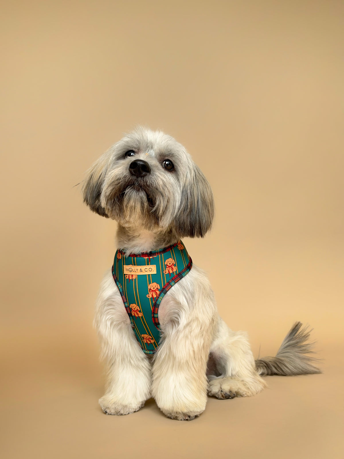 Merrywood - Reversible Dog Harness