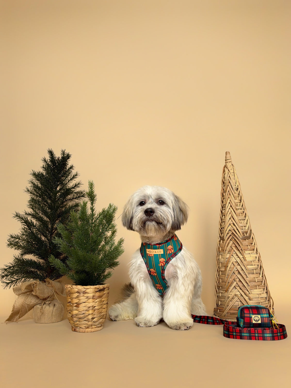 Merrywood - Dog Leash