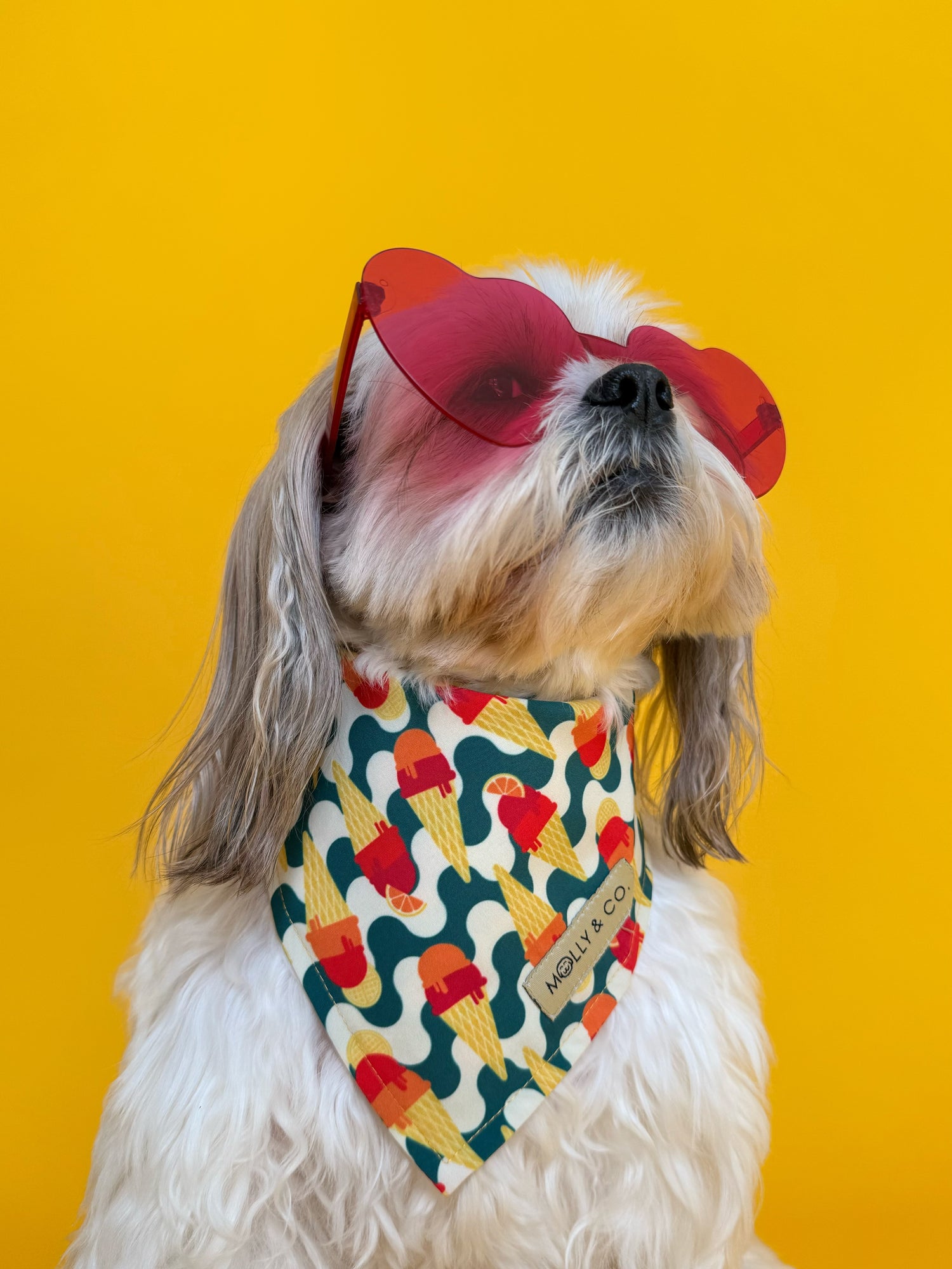 Gelato - Dog Bandana