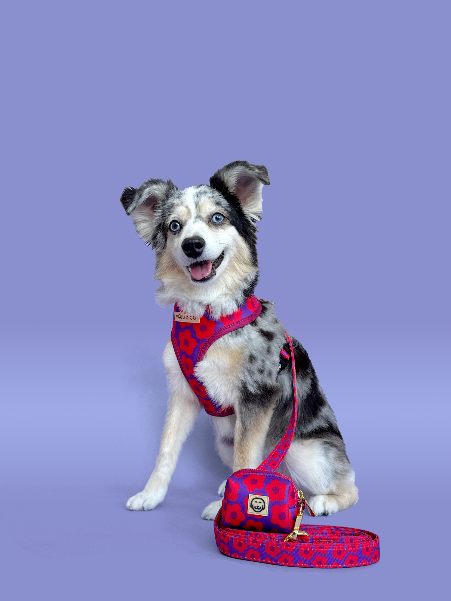 Mon Chéri - Walking Bundle