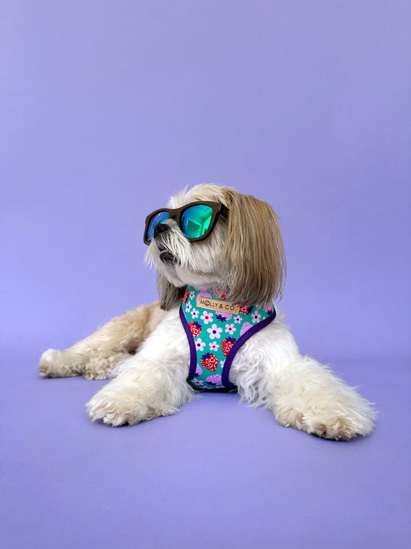 Strawberry - Reversible Dog Harness