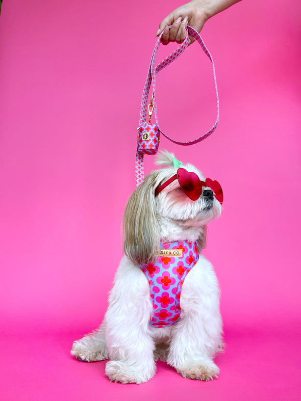 Venezia - Adjustable Dog Harness