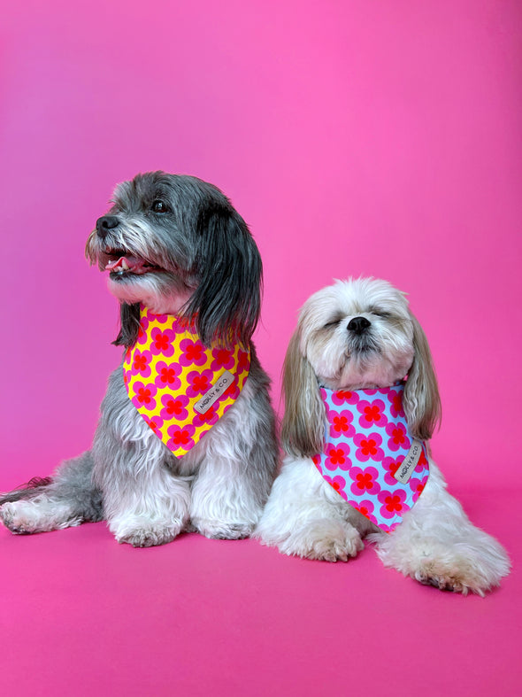 Venezia - Reversible Dog Bandana