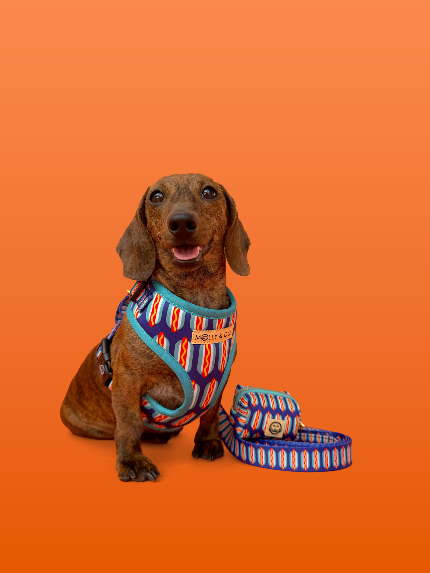 Wieners - Adjustable Dog Harness