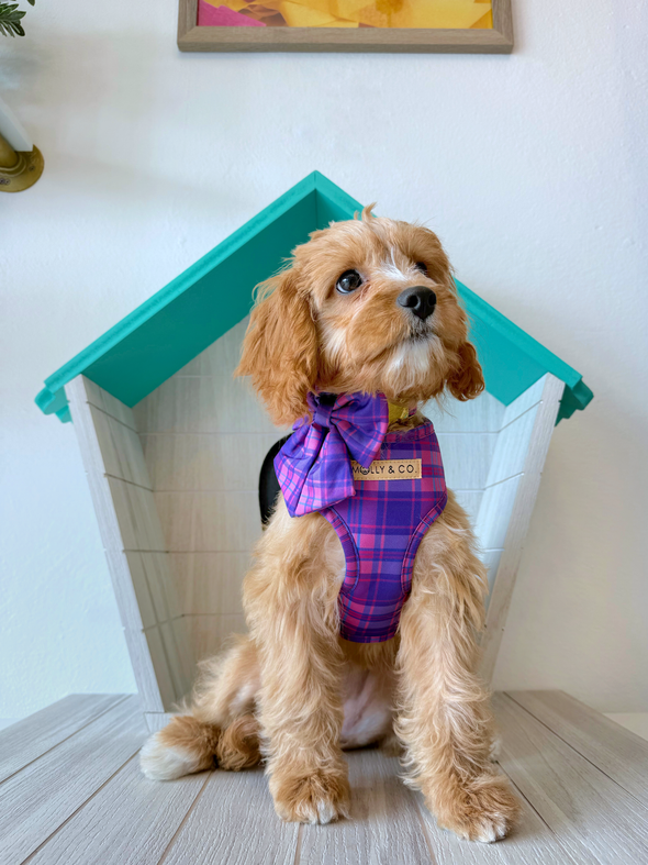 Pinkberry Plaid - Adjustable Dog Harness