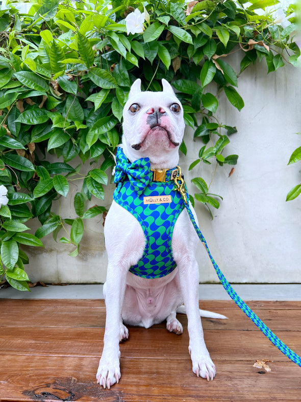 Forest - Dog Bowtie