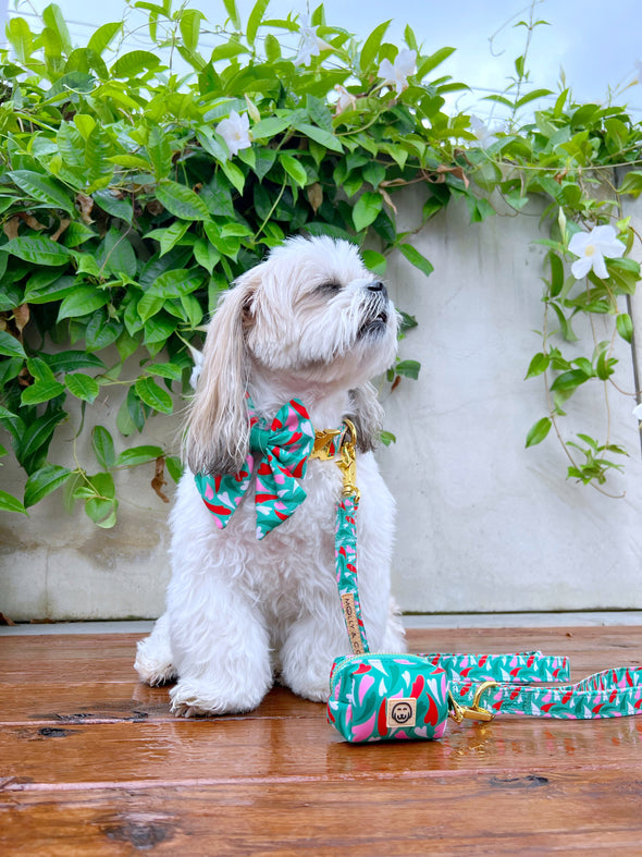 Amore - Dog Sailor Bowtie