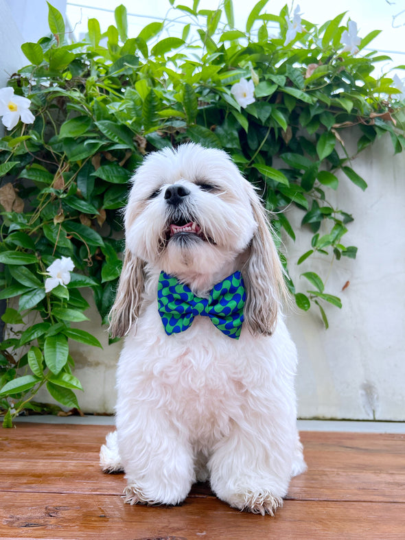 Forest - Dog Bowtie