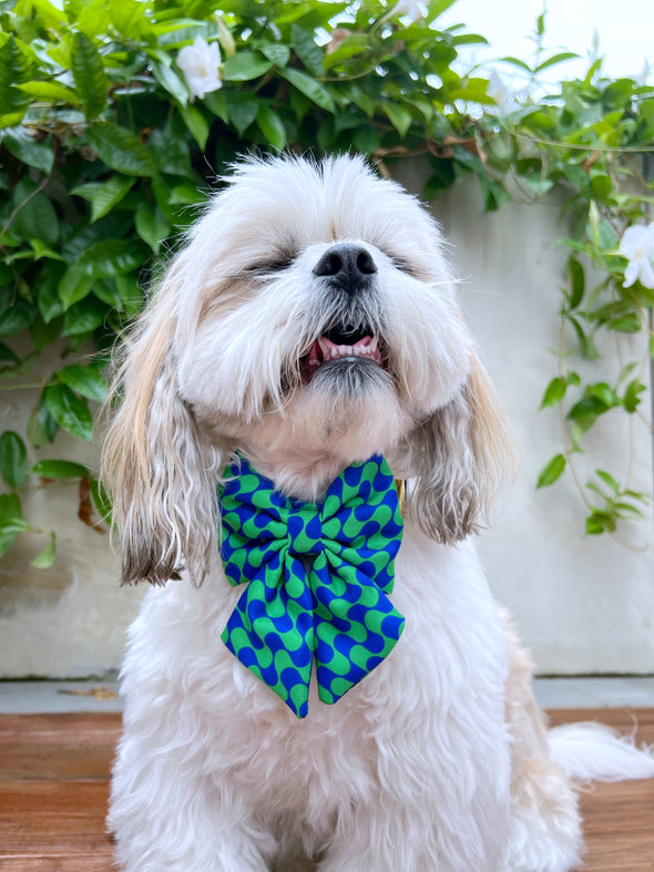 Forest - Dog Sailor Bowtie