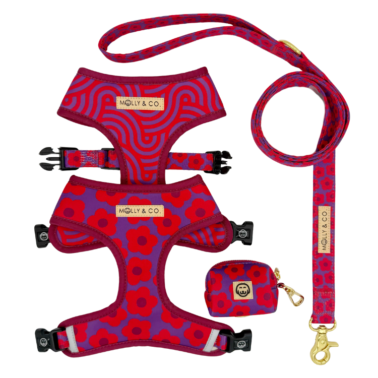 Mon Chéri - Walking Bundle