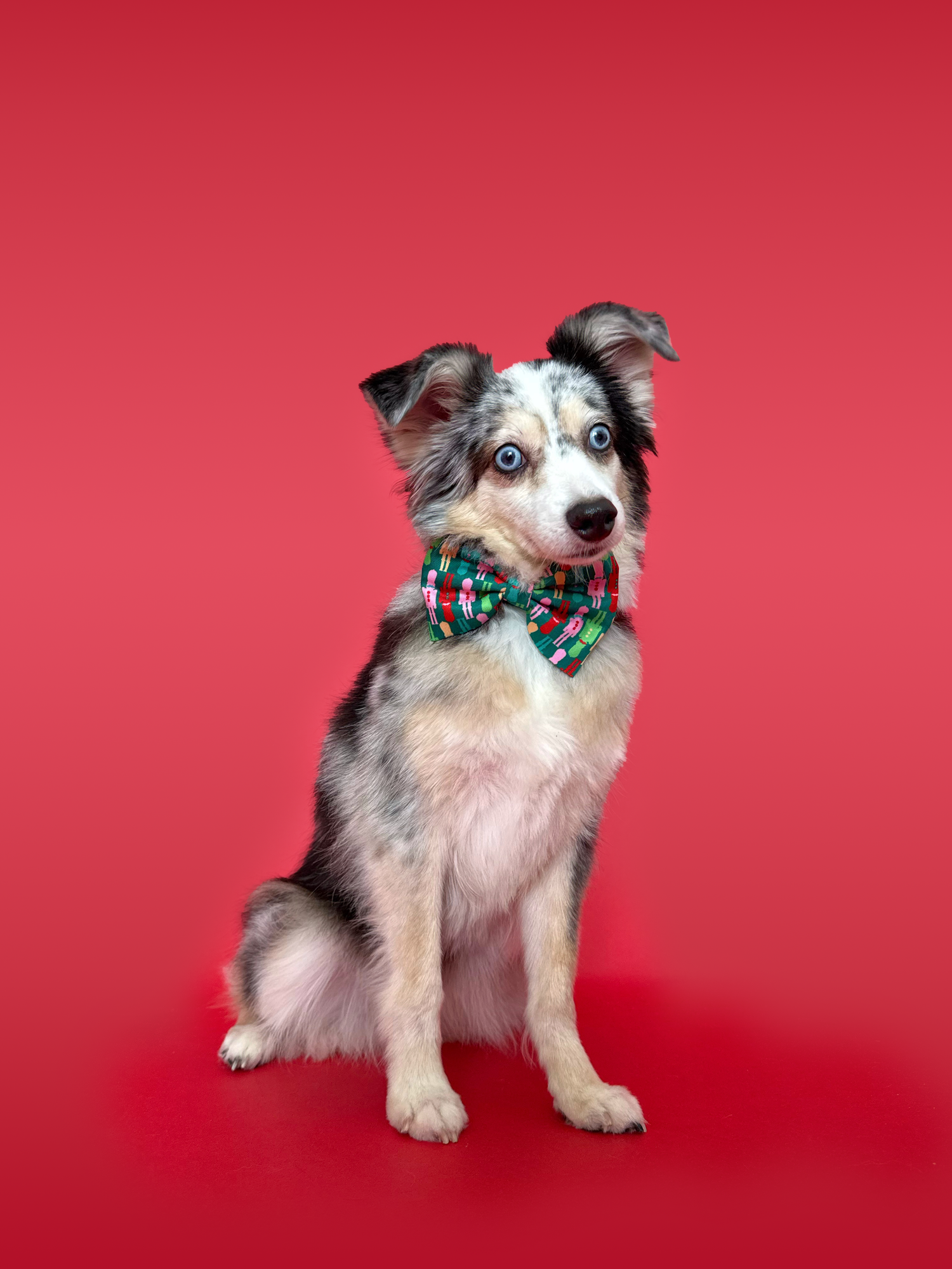 Nutcracker - Dog Bowtie