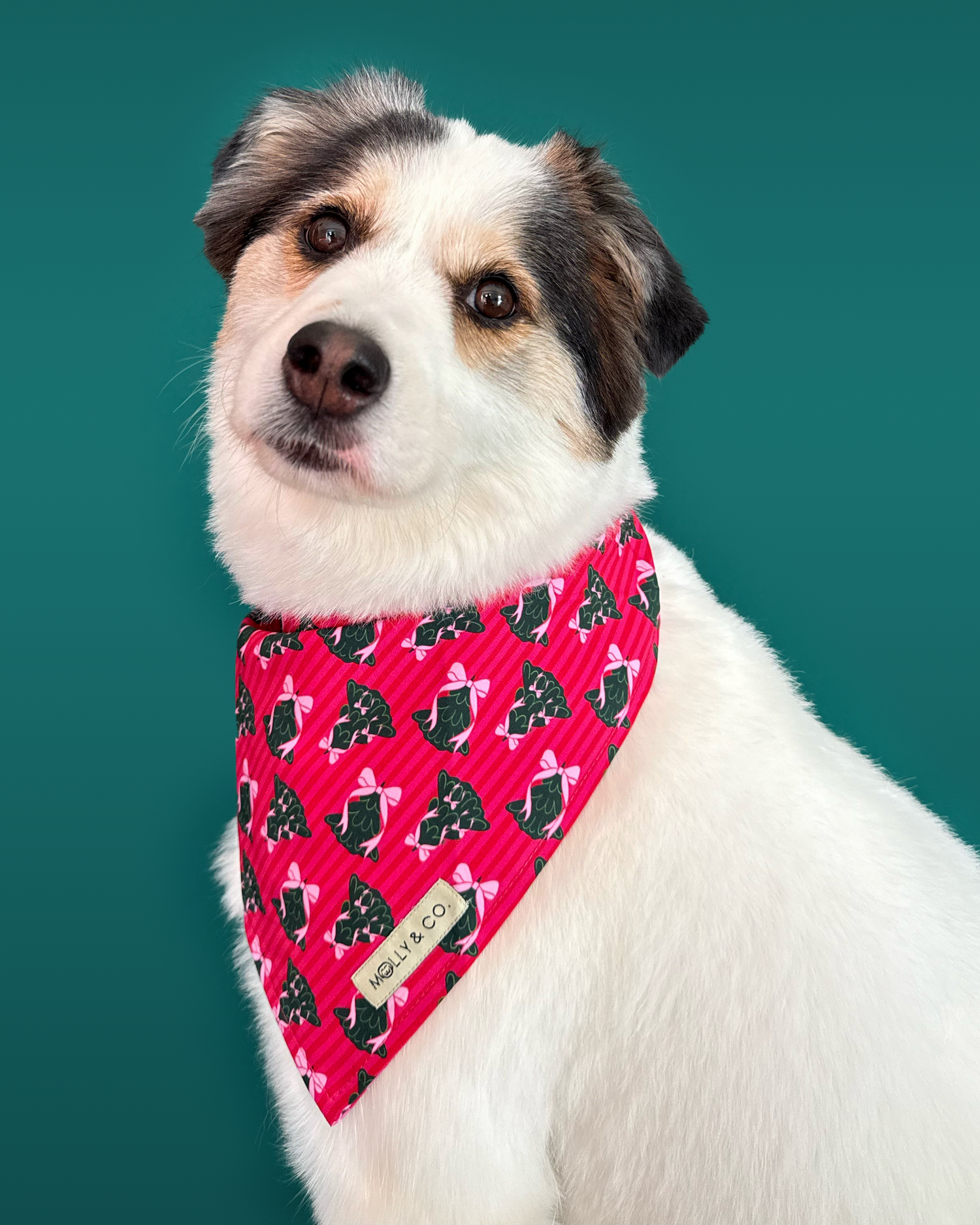 Sugarplum Trees + Giftwrap Plaid - Reversible Dog Bandana