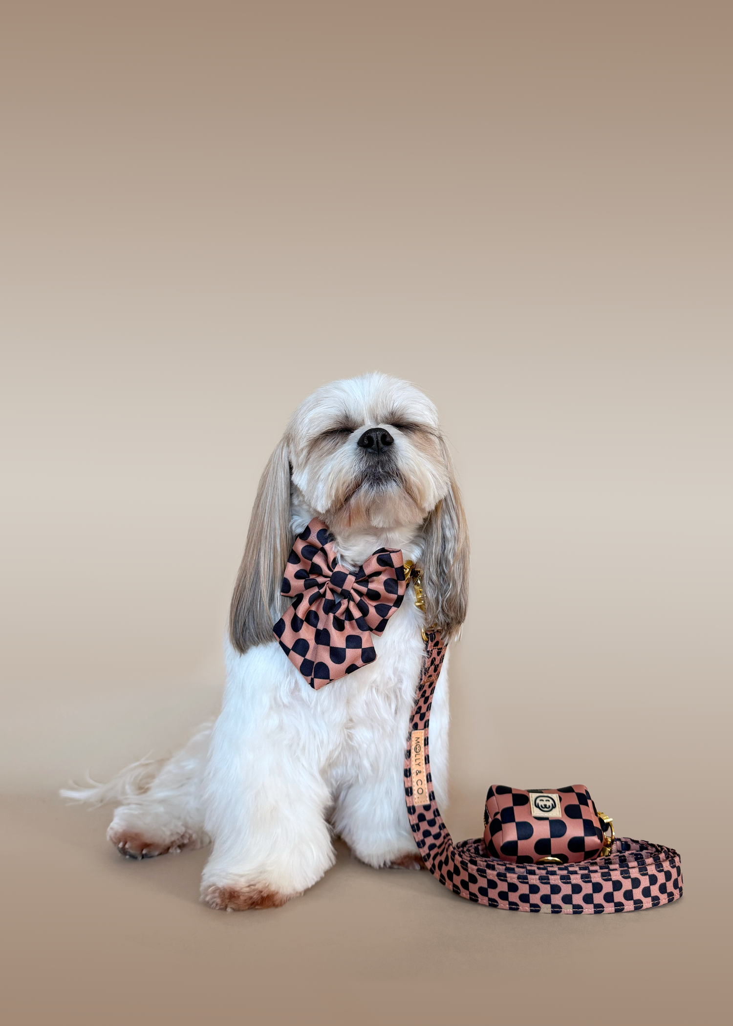 Deluxe Bundle - Moonrise