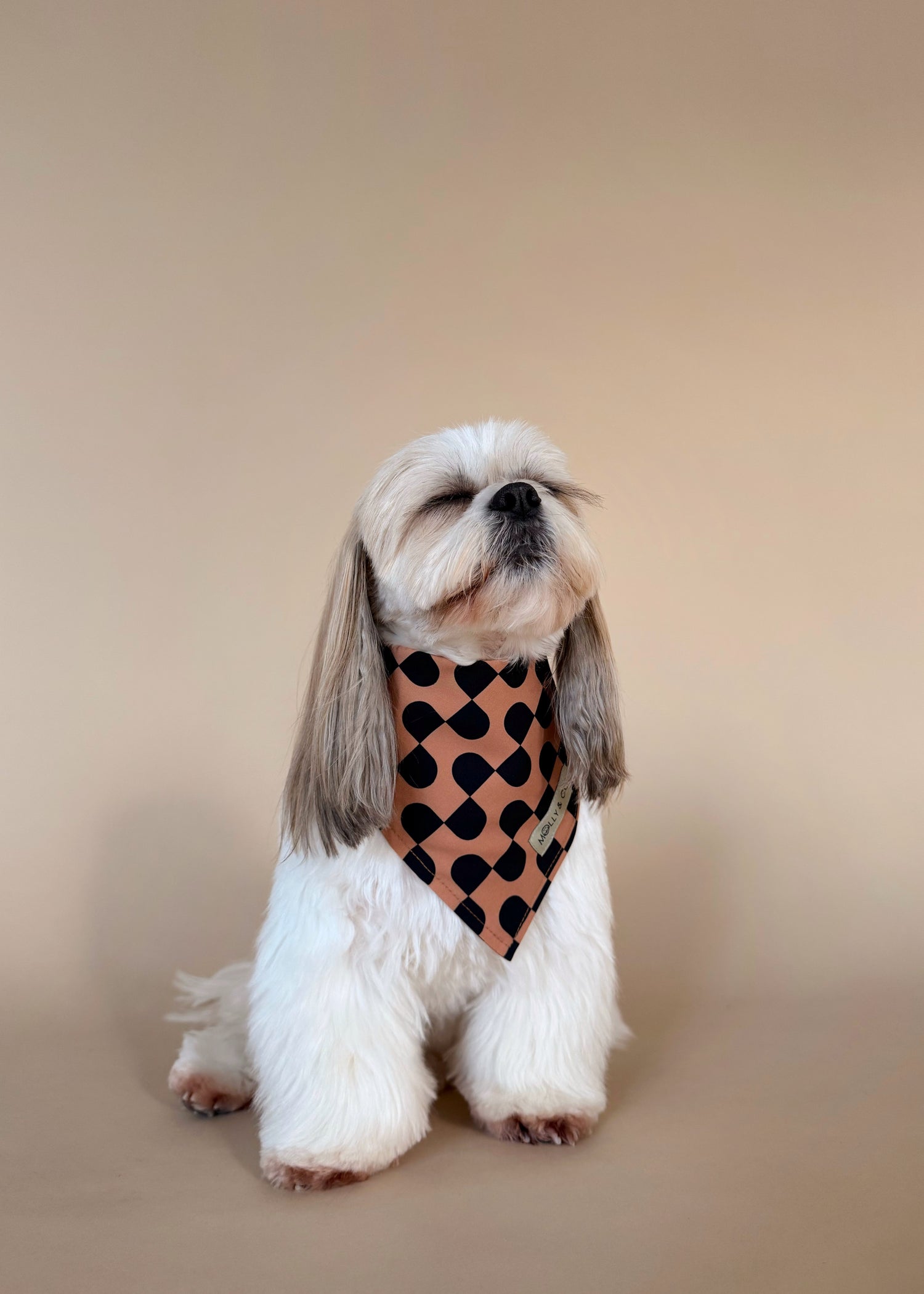 Moonrise - Dog Bandana