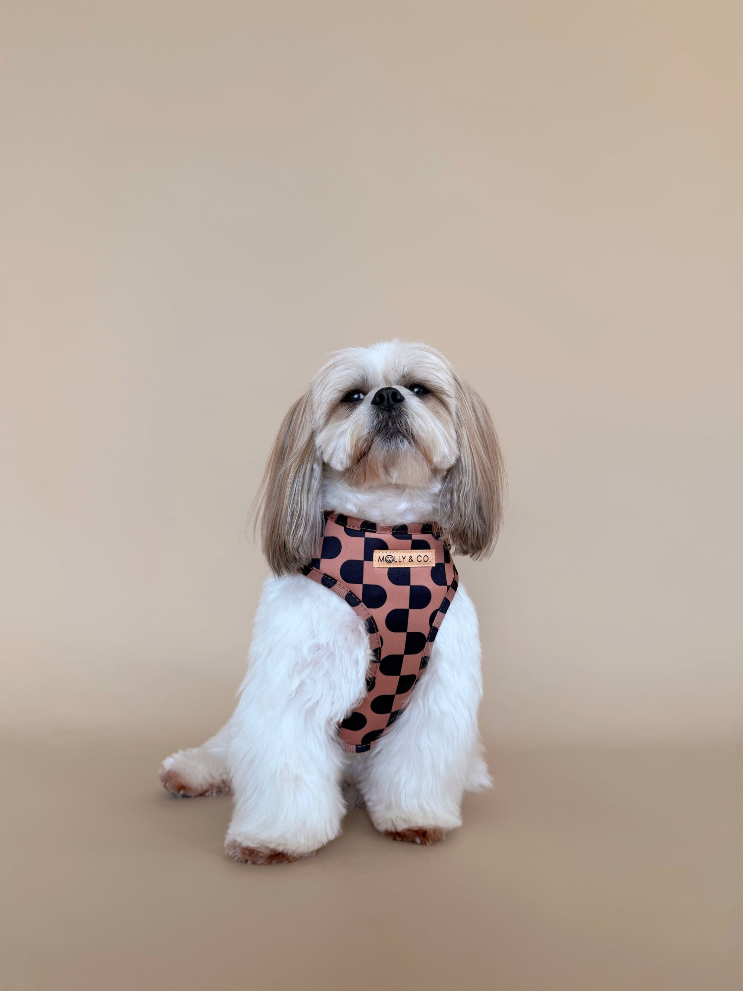 Moonrise - Adjustable Dog Harness