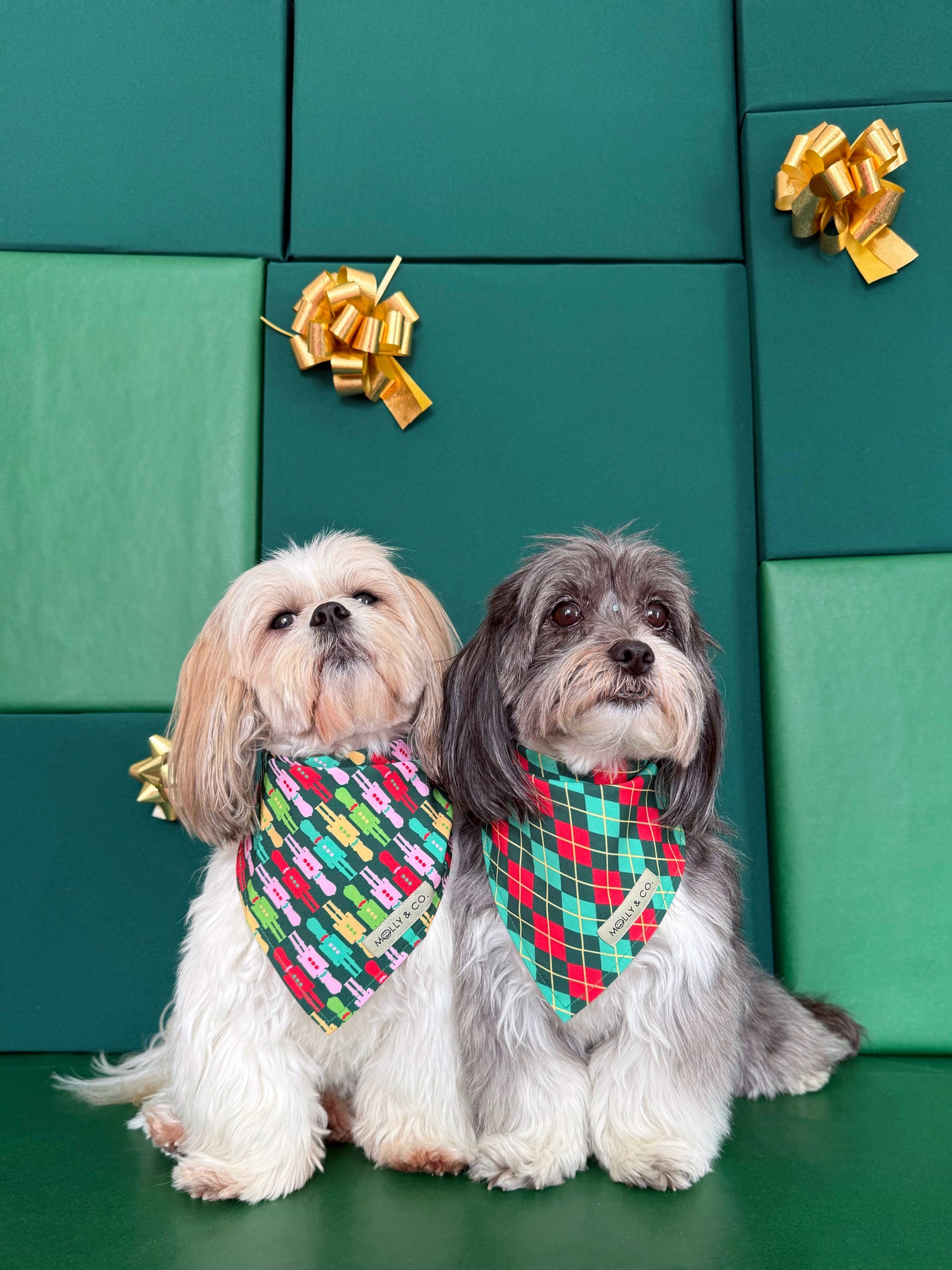 Evergreen Argyle + Nutcracker - Reversible Dog Bandana