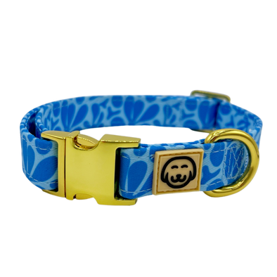Blue Marina - Dog Collar