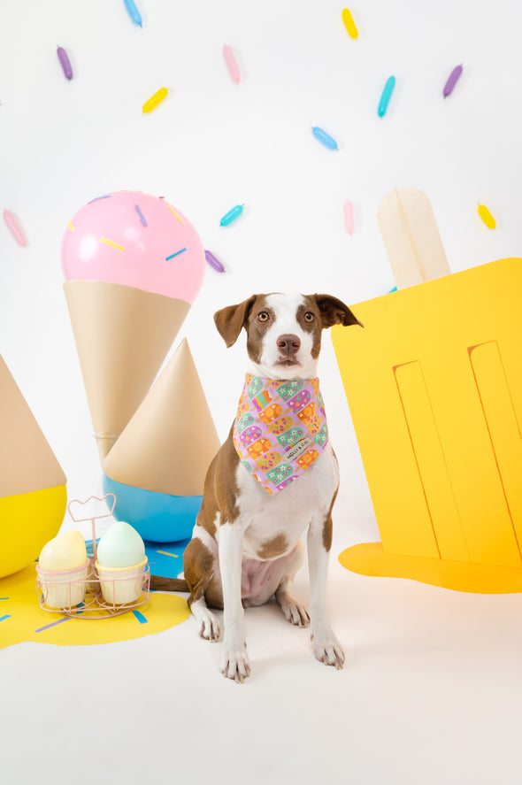 Ice Pop - Reversible Dog Bandana