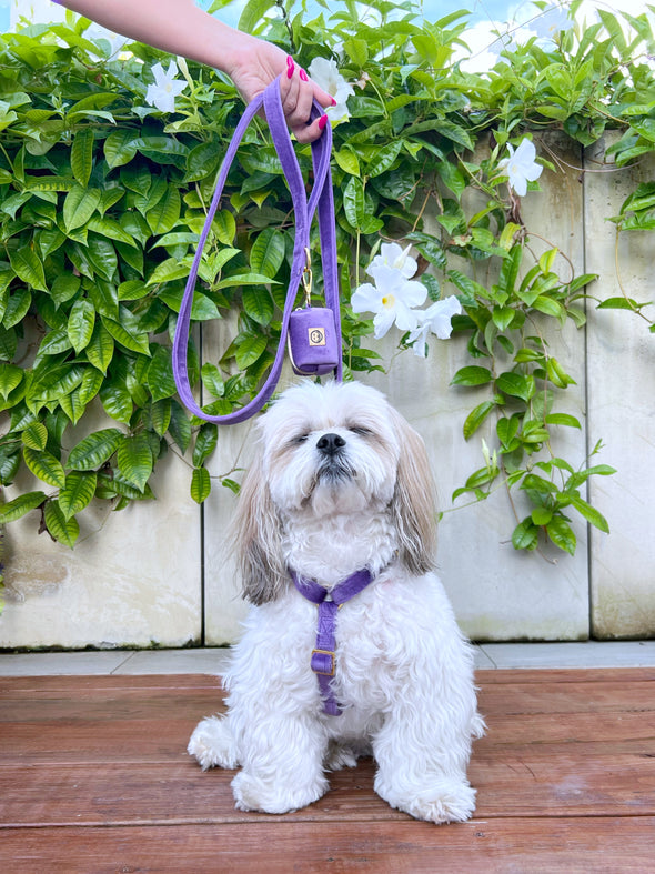 Violet Velvet - Adjustable Strap Dog Harness