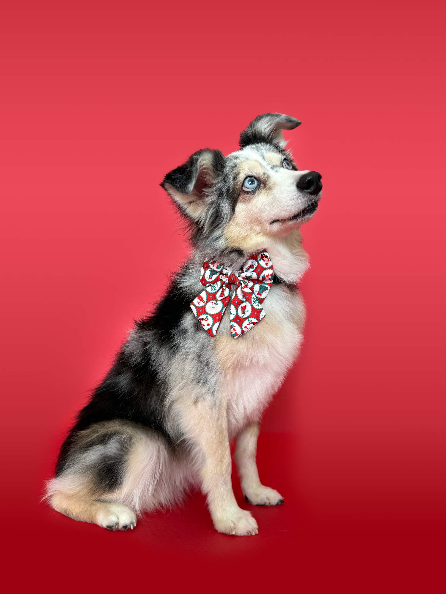 Santa's Workshop - Dog Sailor Bowtie