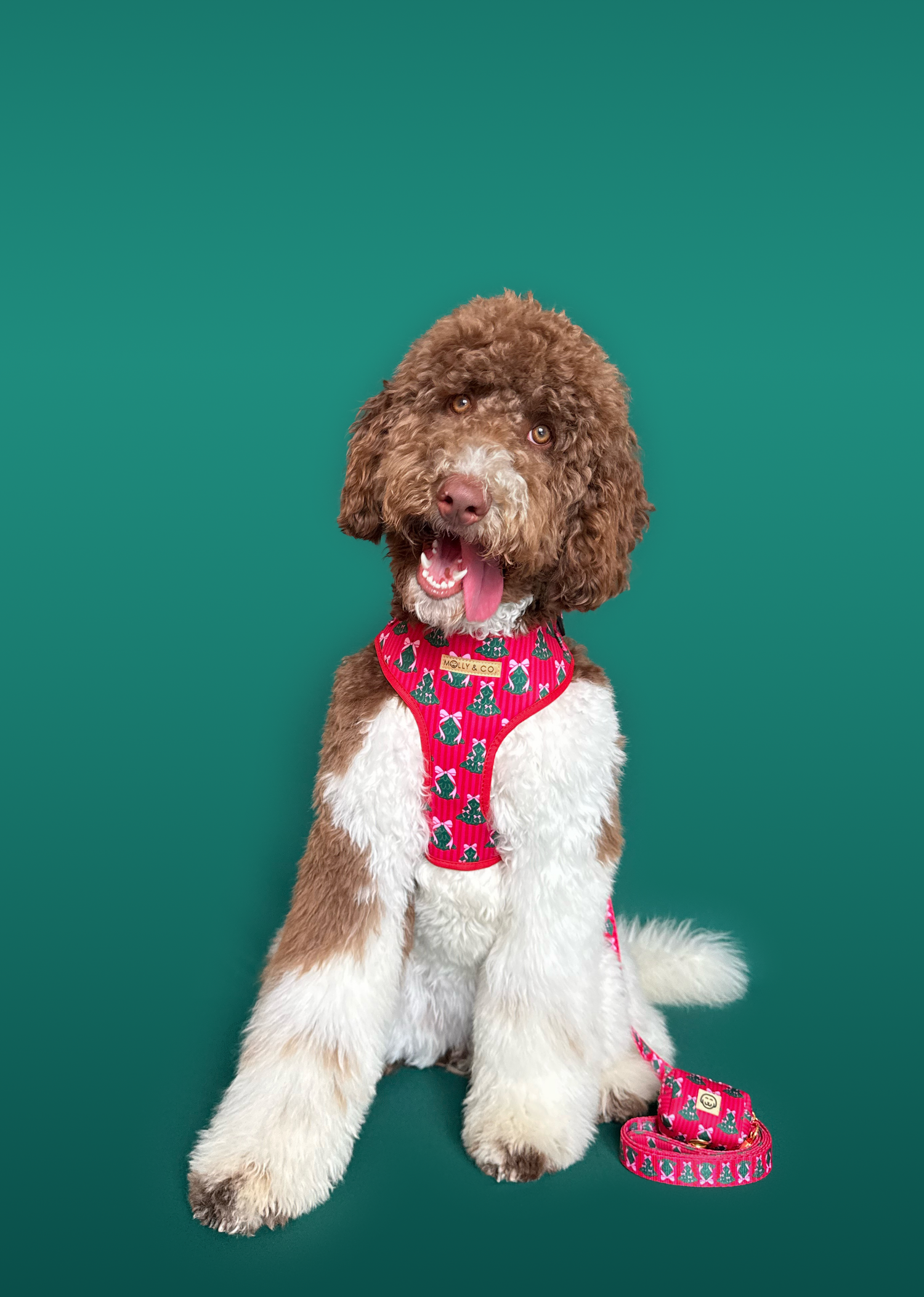 Sugarplum Trees - Walking Bundle