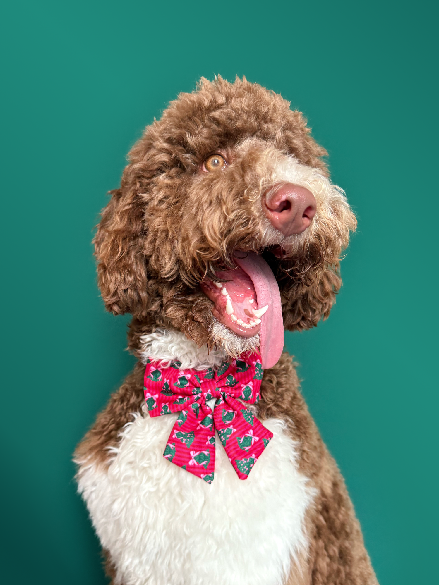 Deluxe Bundle - Sugarplum Trees