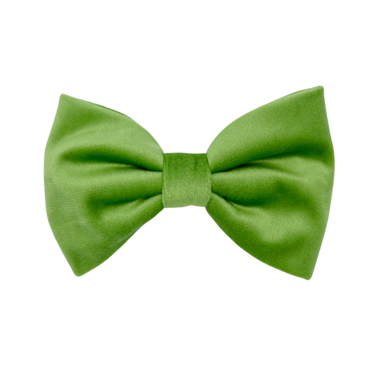 Fern Velvet - Dog Bowtie