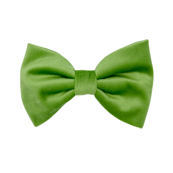 Fern Velvet - Dog Bowtie