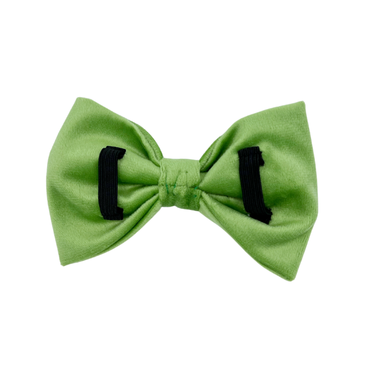 Fern Velvet - Dog Bowtie