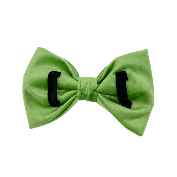 Fern Velvet - Dog Bowtie