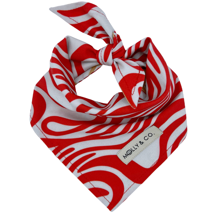 Puppermint - Reversible Dog Bandana