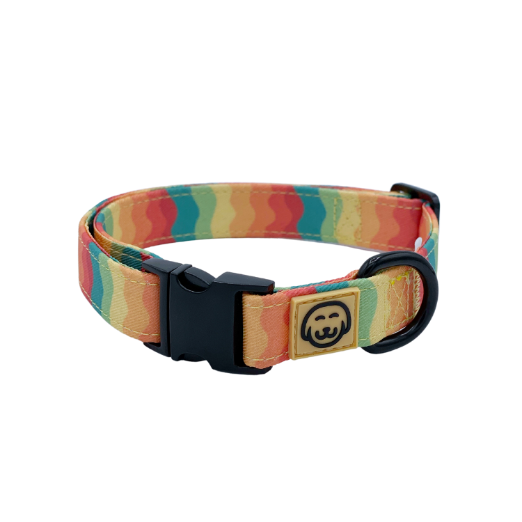 Sunset Paws - Dog Collar - FINAL SALE