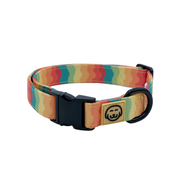 Sunset Paws - Dog Collar - FINAL SALE