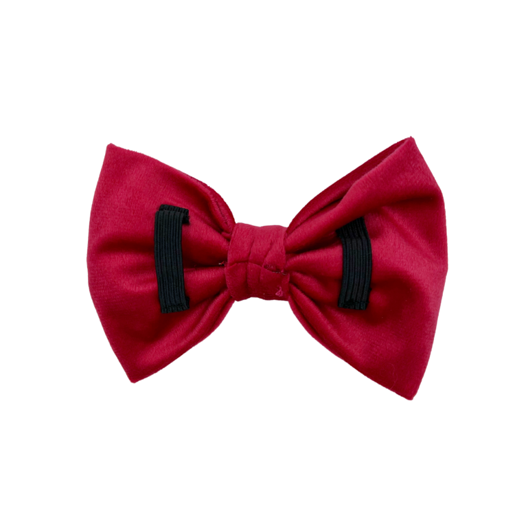Scarlet Velvet - Dog Bowtie