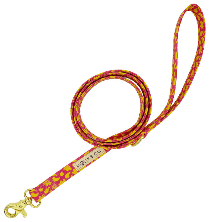 Sunny Vibes - Dog Leash - FINAL SALE