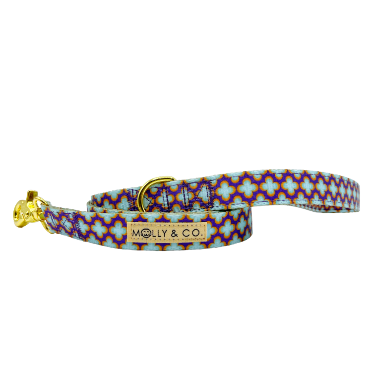 Florentino - Dog Leash - FINAL SALE
