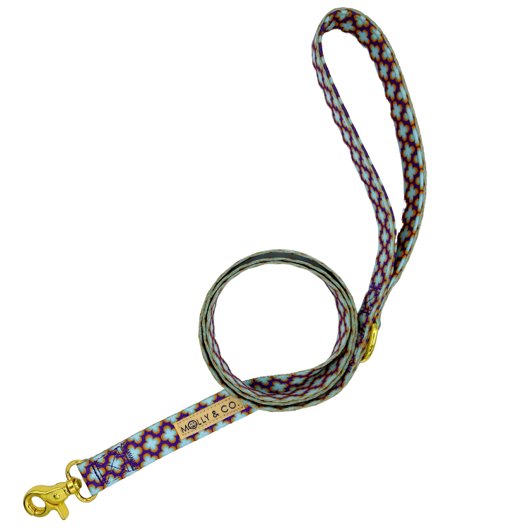 Florentino - Dog Leash - FINAL SALE