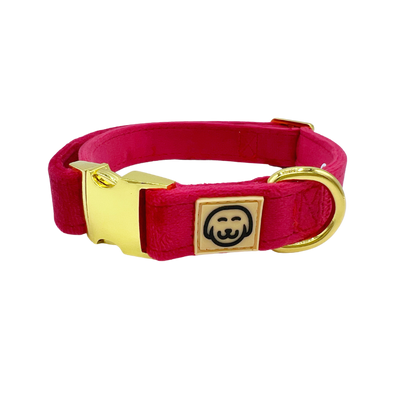 Scarlet Velvet - Dog Collar