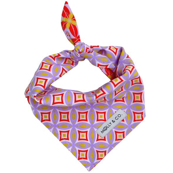 The Gem - Reversible Dog Bandana