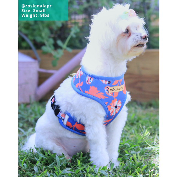 Always Blooming - Reversible Dog Harness - FINAL SALE