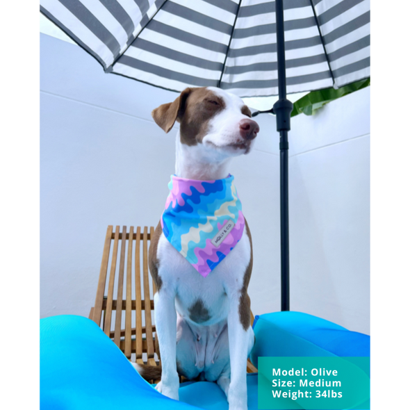 Ice Cream - Reversible Dog Bandana