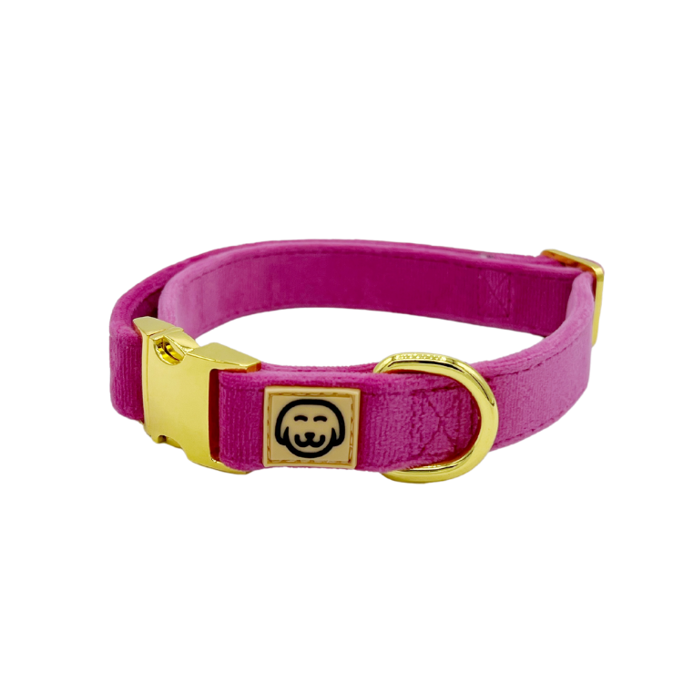 Rose Velvet - Dog Collar