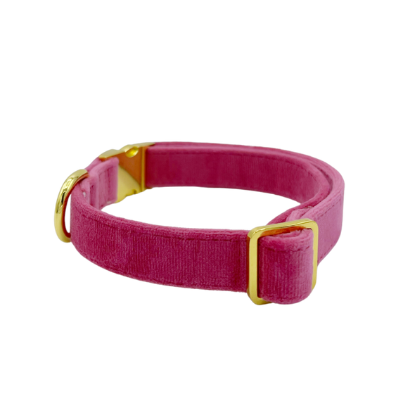 Rose Velvet - Dog Collar