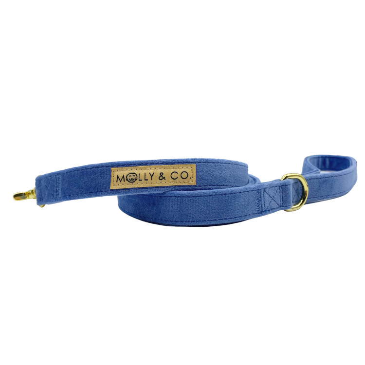 Denim Velvet - Dog Leash