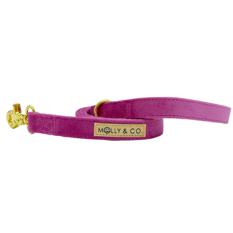 Rose Velvet - Dog Leash